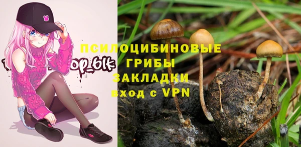 спайс Алексеевка