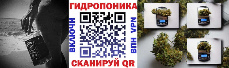 Бошки марихуана Ganja  Купить где  Кисловодск 